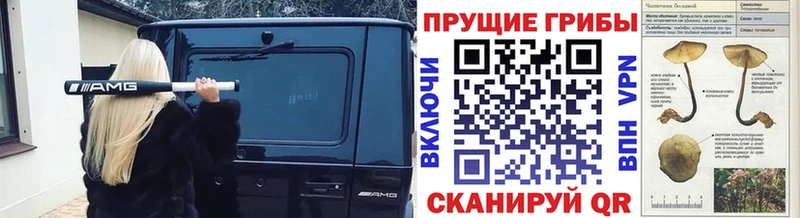 Псилоцибиновые грибы Psilocybe ссылка на мегу онион Лянтор наркошоп